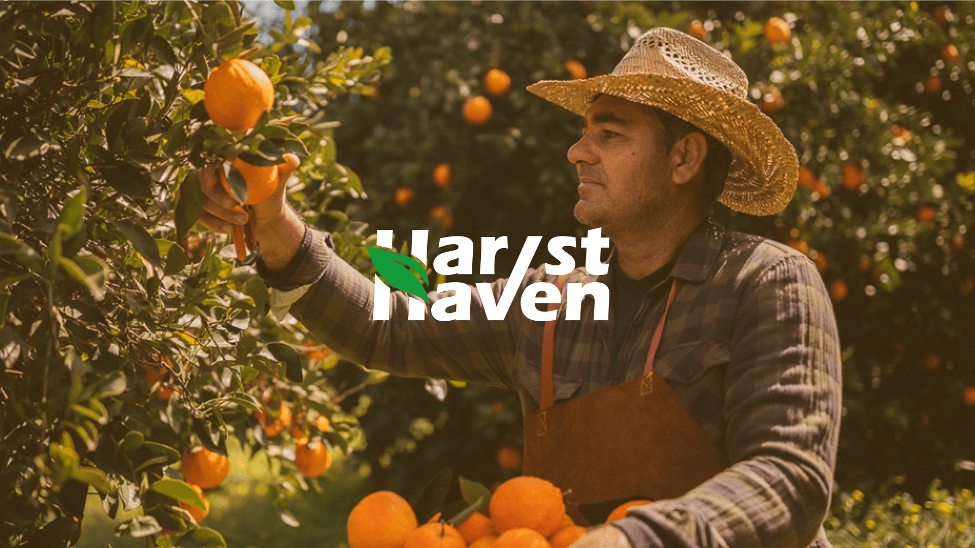 Harvst Haven Logo Design